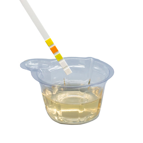 Lifestyle image showing a urine test strip being dipped into urine contained within the collection cup.